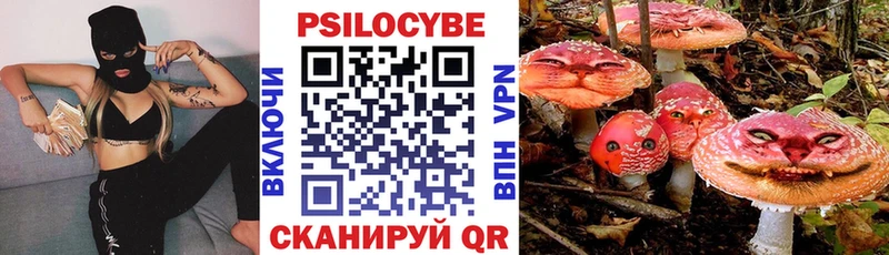 Купить закладки  Топки  Псилоцибиновые грибы мухоморы 